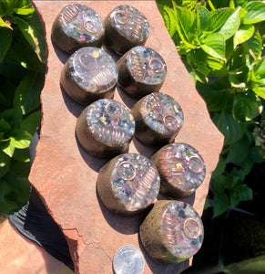 9-pack of "Microcosmic TowerBusters" -Coiled Super Seven Amethyst, Petalite, Lepidolite, Kyanite, Garnet, Selenite, Tourmalines, Quartz Sand + MMSSO matrix