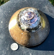 The “Small Dream Machine”- compact, portable, powerful, handheld Orgone